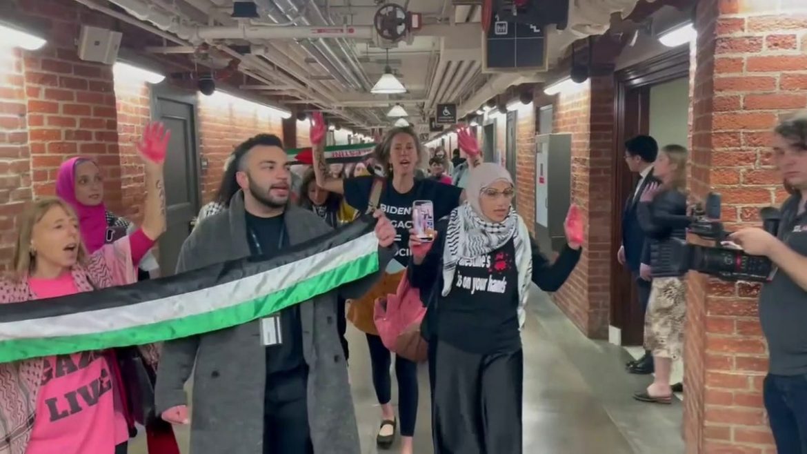 Anti-Israel protesters’ painted red hands a ‘symbol’ rooted in ‘craze to see blood’: expert